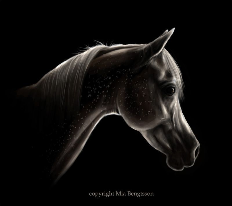 Mia Brengtsson --> Ziggy Stardust